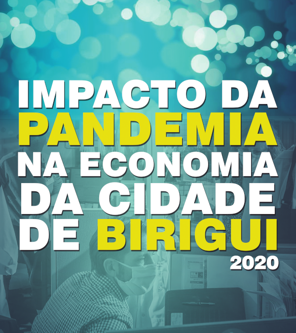 Livro – Impacto da pandemia na economia da cidade de Birigui (2020)